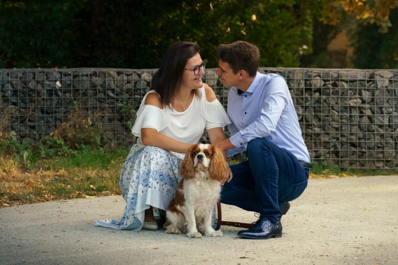 Portfolio 188 DSC00732 Koppel klein 20