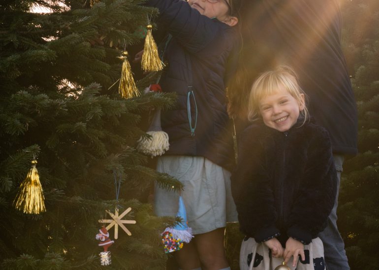 Kerst en Nieuwjaar 3 DSC08099 Kerst Nieuwjaar klein 3