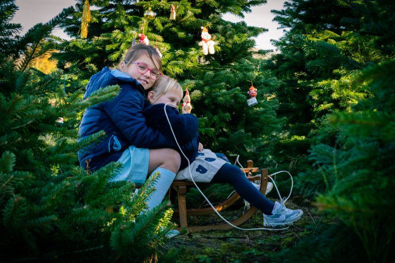 Portfolio 146 DSC08171 Kerst Nieuwjaar klein 4