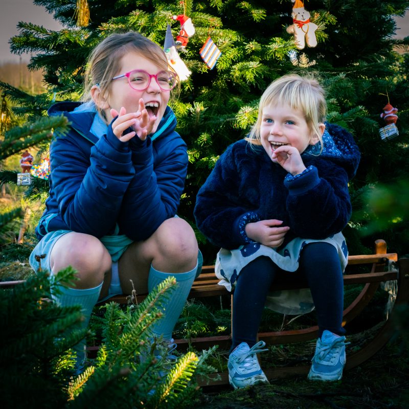 Portfolio 143 DSC08238 Kerst Nieuwjaar klein 5