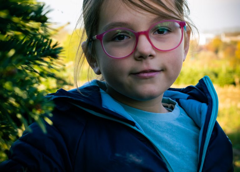 Kerst en Nieuwjaar 2 DSC08439 Kerst Nieuwjaar klein 6