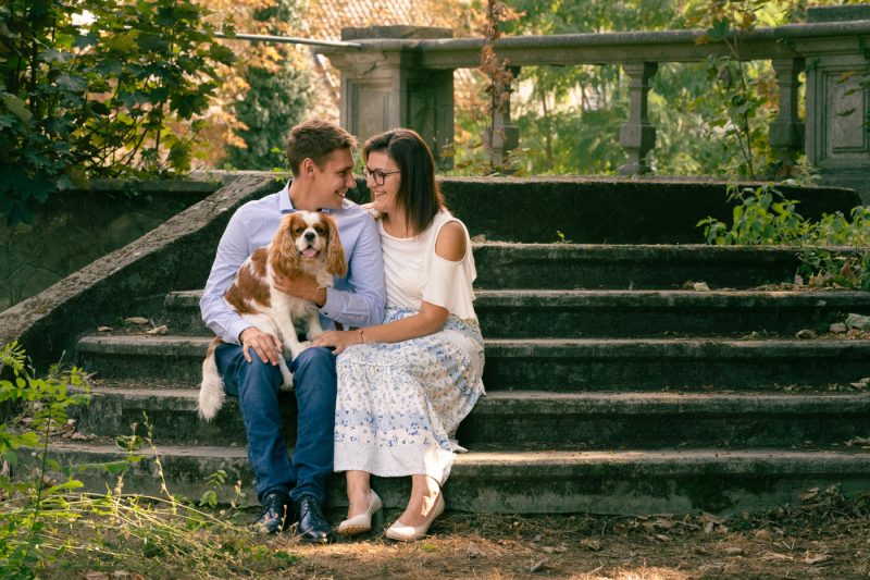 Portfolio 194 DSC08607 Koppel klein 16