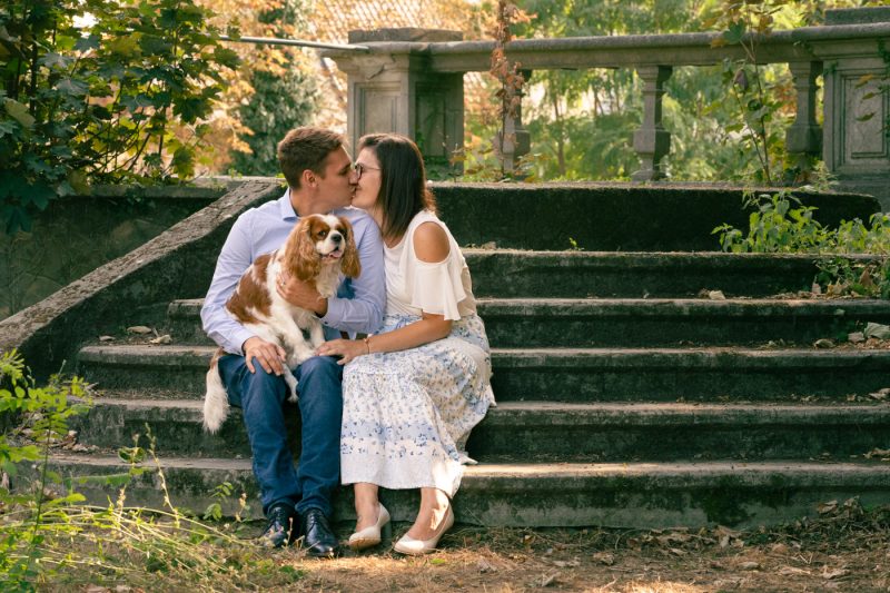 Portfolio 167 DSC08616 Koppel klein 17