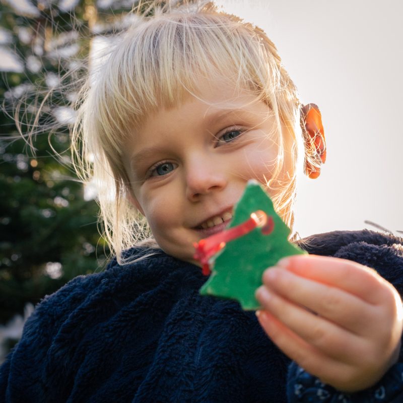 Portfolio 142 DSC08734 Kerst Nieuwjaar klein 8