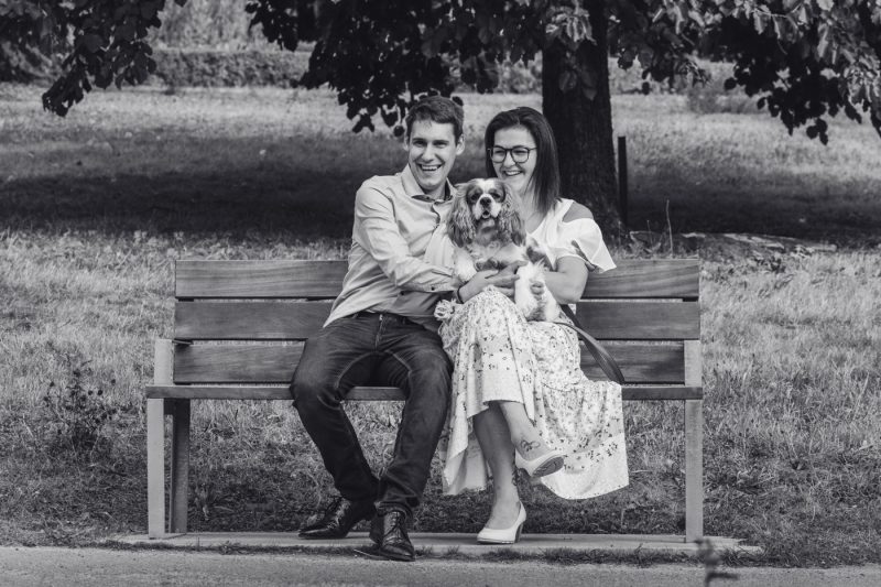 Portfolio 166 DSC09554 kopieren Koppel klein 19