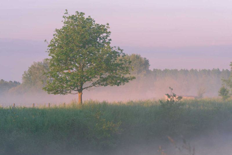 Portfolio 135 dsc0007b natuurfoto klein 1 optimized