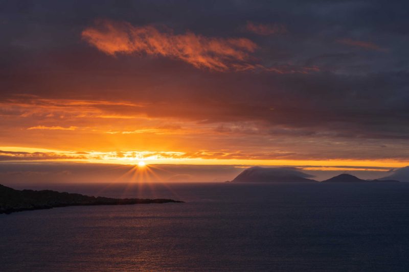 Portfolio 134 dsc02157 natuurfoto groot 8 optimized