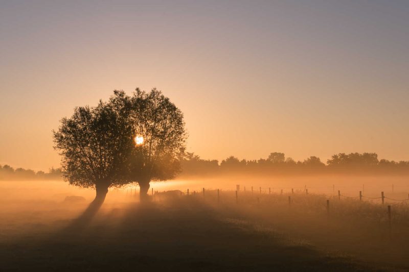 Portfolio 53 dsc04326 natuurfoto klein 2 optimized