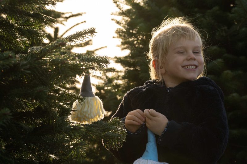 Portfolio 17 dsc08042 kerst groot 1 optimized