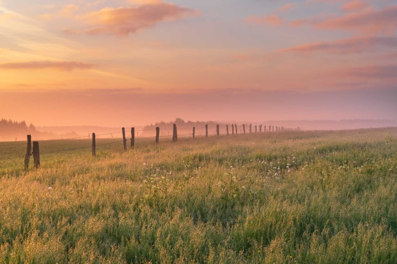 Portfolio 138 dsc0848b natuurfoto groot 5 optimized