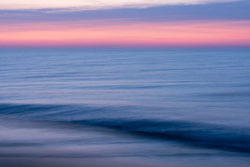 Portfolio 443 dsc09293 natuurfoto groot 7 optimized