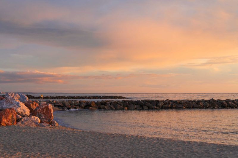 Portfolio 442 dsc4564a natuurfoto groot 6 optimized