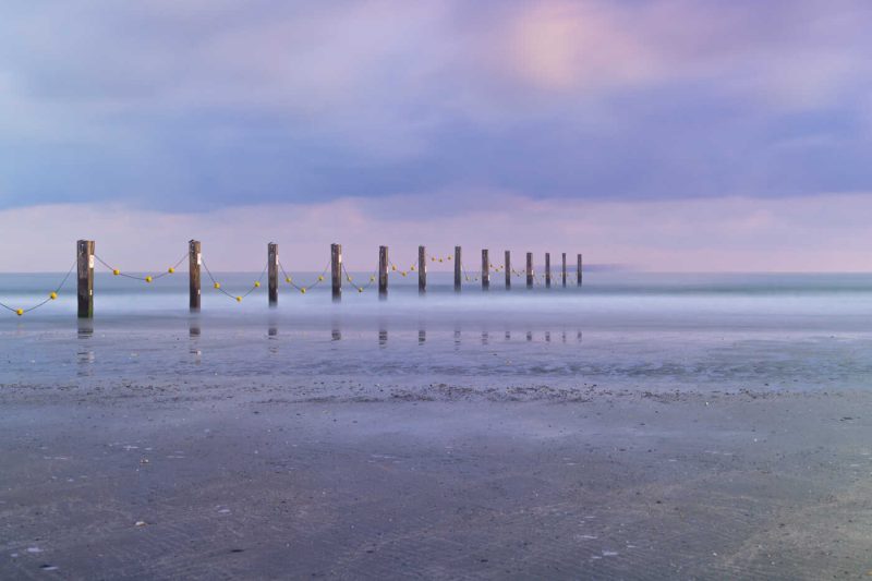 Portfolio 115 dsc8788a natuurfoto klein 6 optimized