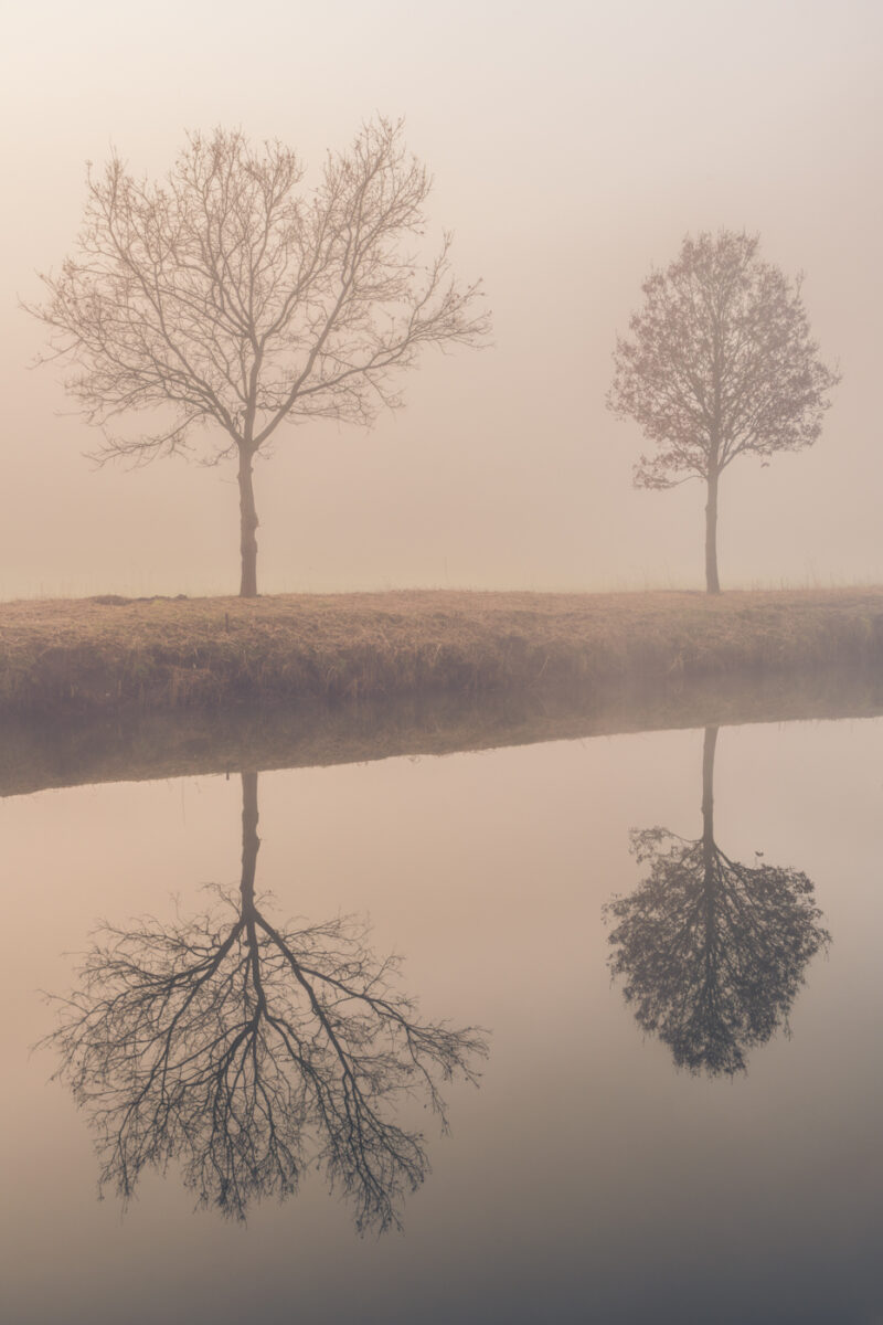 Portfolio 419 DSC02478 Natuurfoto webshop 28