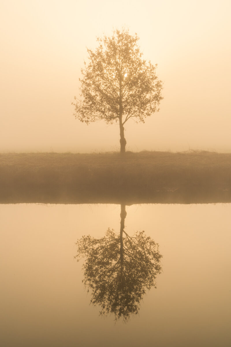 Portfolio 424 DSC02683 Natuurfoto webshop 29