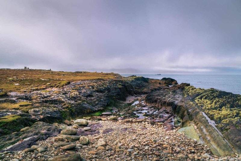 Portfolio 429 Tiger's place