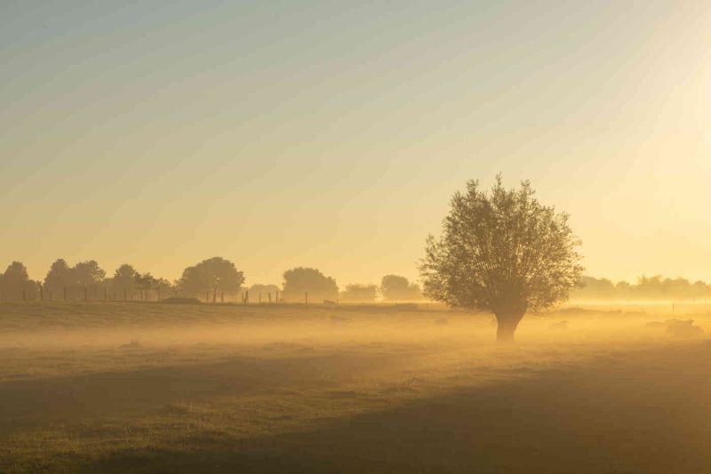 Portfolio 437 Pageel