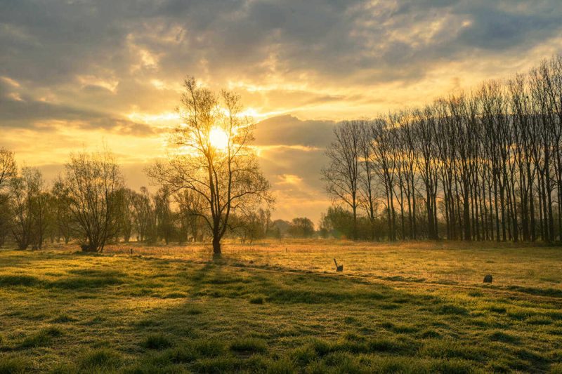 Kalkense Meersen Highlight