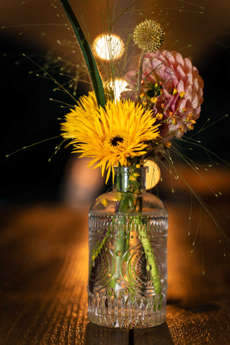 Portfolio 149 dsc05323 kim en ingo klein 1 optimized