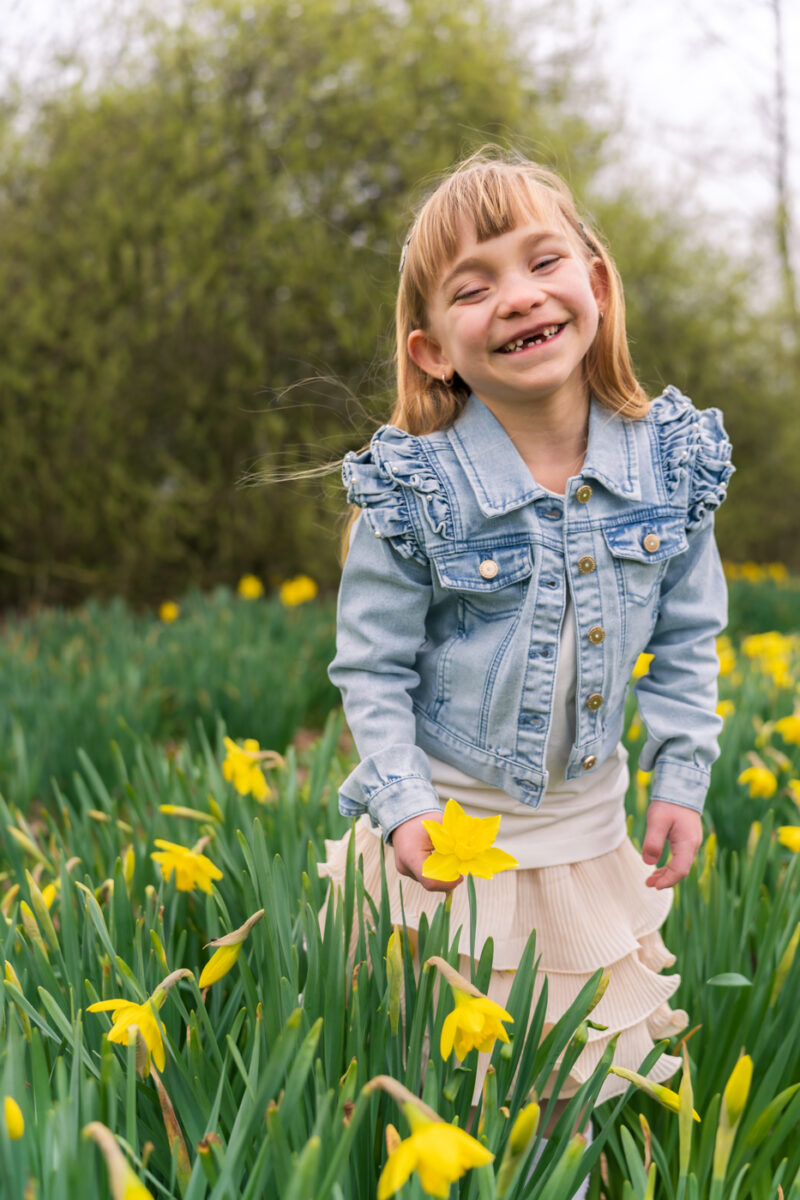 Portfolio 114 Lore 3