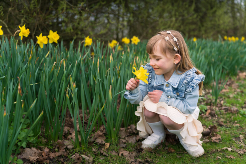 Portfolio 159 Lore 5