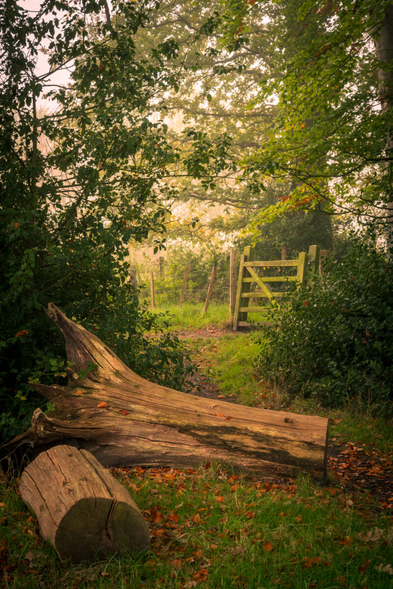 Portfolio 408 20241026 DSC06997 HDR Communie groot 1