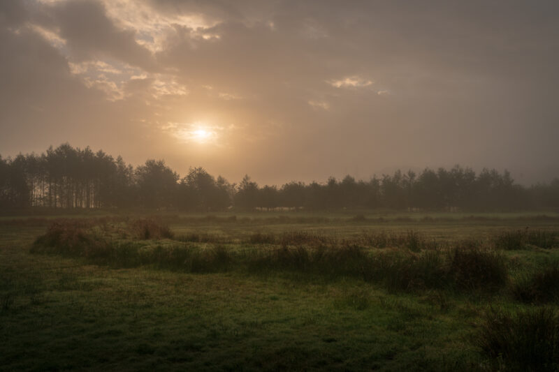 Portfolio 409 DSC07051 Communie groot 1