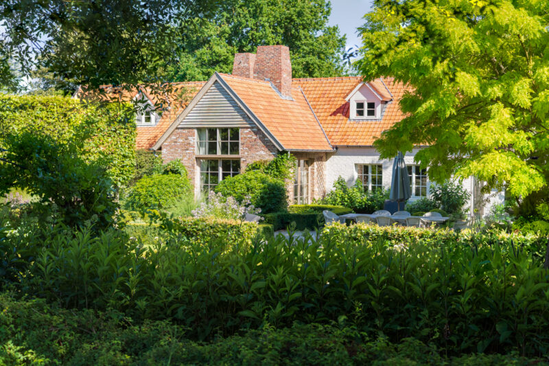 Portfolio 52 DSC00012 Tuintjebeter 2