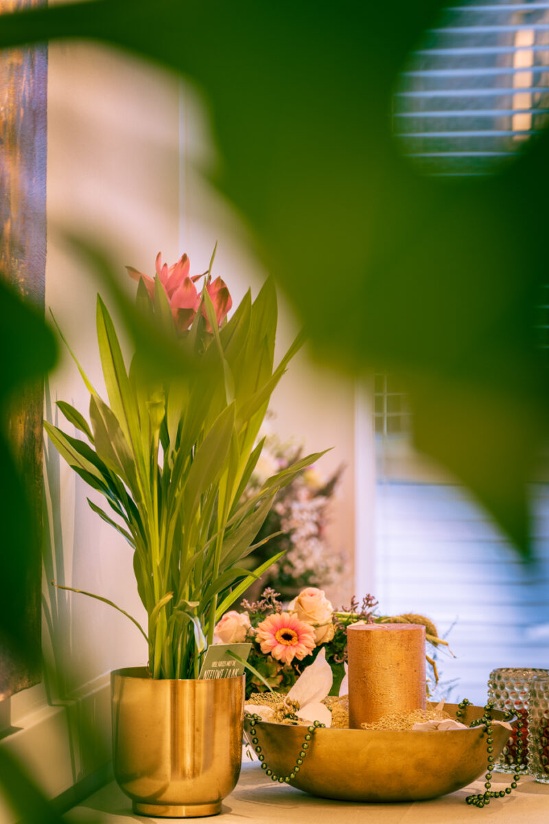 Portfolio 266 DSC05274 ODT 2