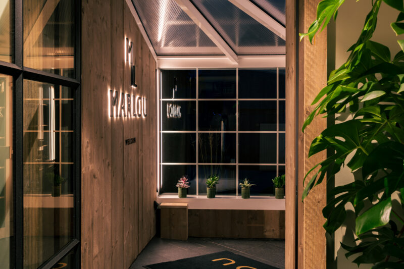 Portfolio 14 DSC05354 ODT 5