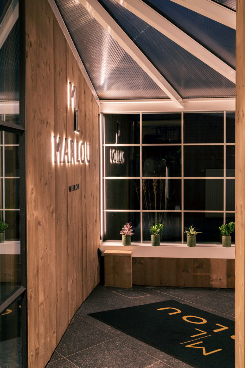 Portfolio 276 DSC05365 ODT 6