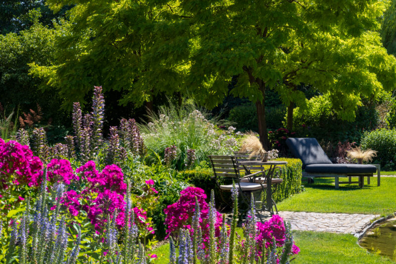 Portfolio 125 DSC09794 Portfolio 3