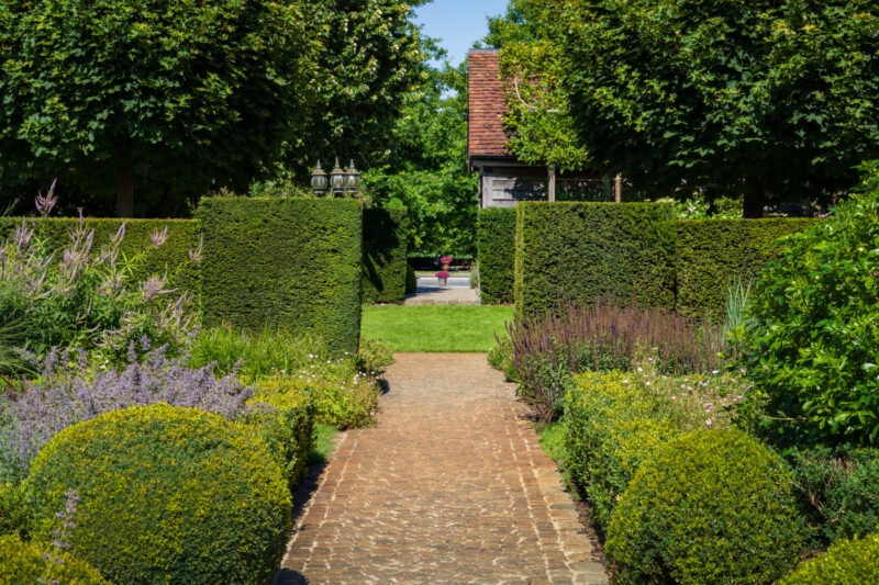 Portfolio 13 DSC09805 Portfolio 4