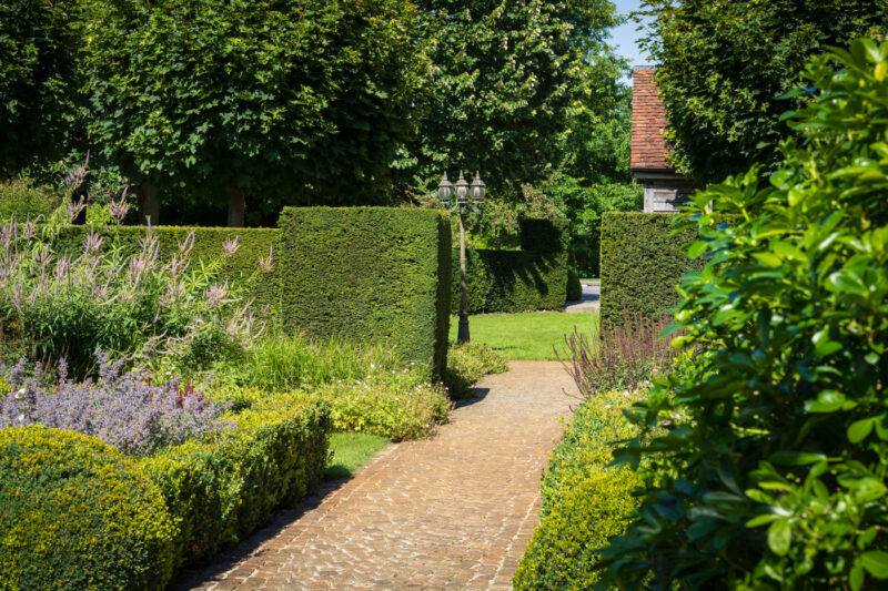 Portfolio 269 DSC09820 Portfolio 5