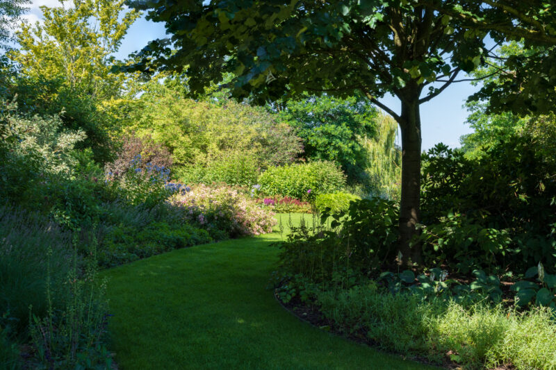 Portfolio 27 DSC09834 Portfolio 6