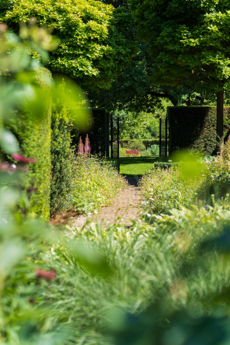 Portfolio 35 DSC09845 Portfolio 7