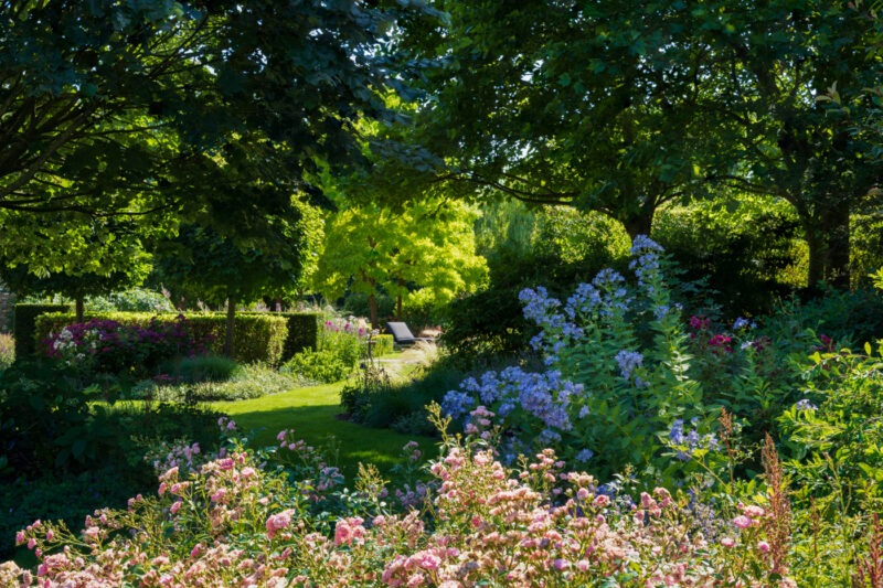 Portfolio 265 DSC09902 Portfolio 10