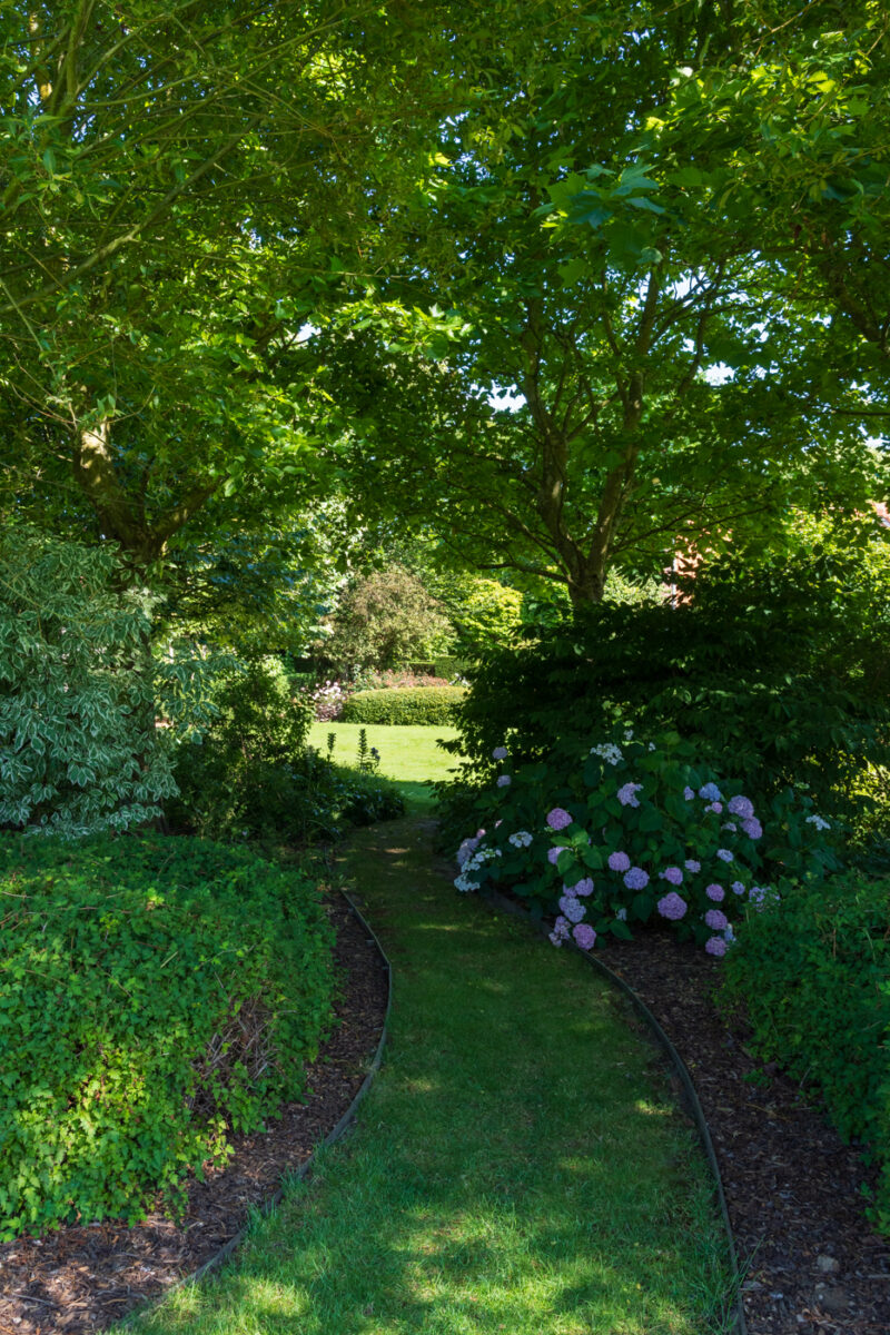 Portfolio 50 DSC09986 Portfolio 11