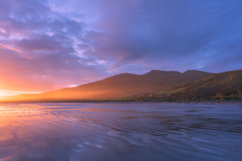 Portfolio 463 20240916 DSC01231 Export Social Media