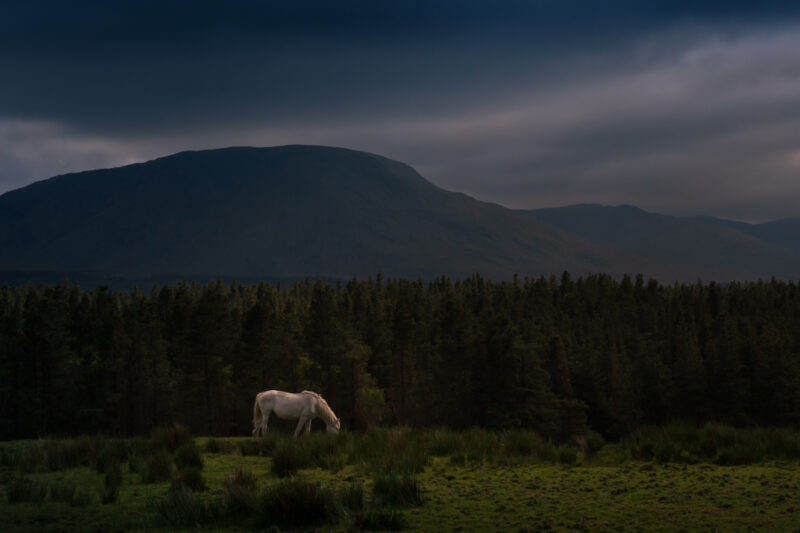 Portfolio 465 20250512 DSC04245 bewerkt Export Social Media