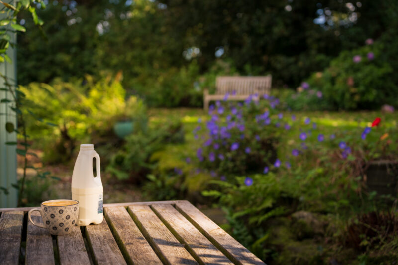 Portfolio 48 The Bothy 21